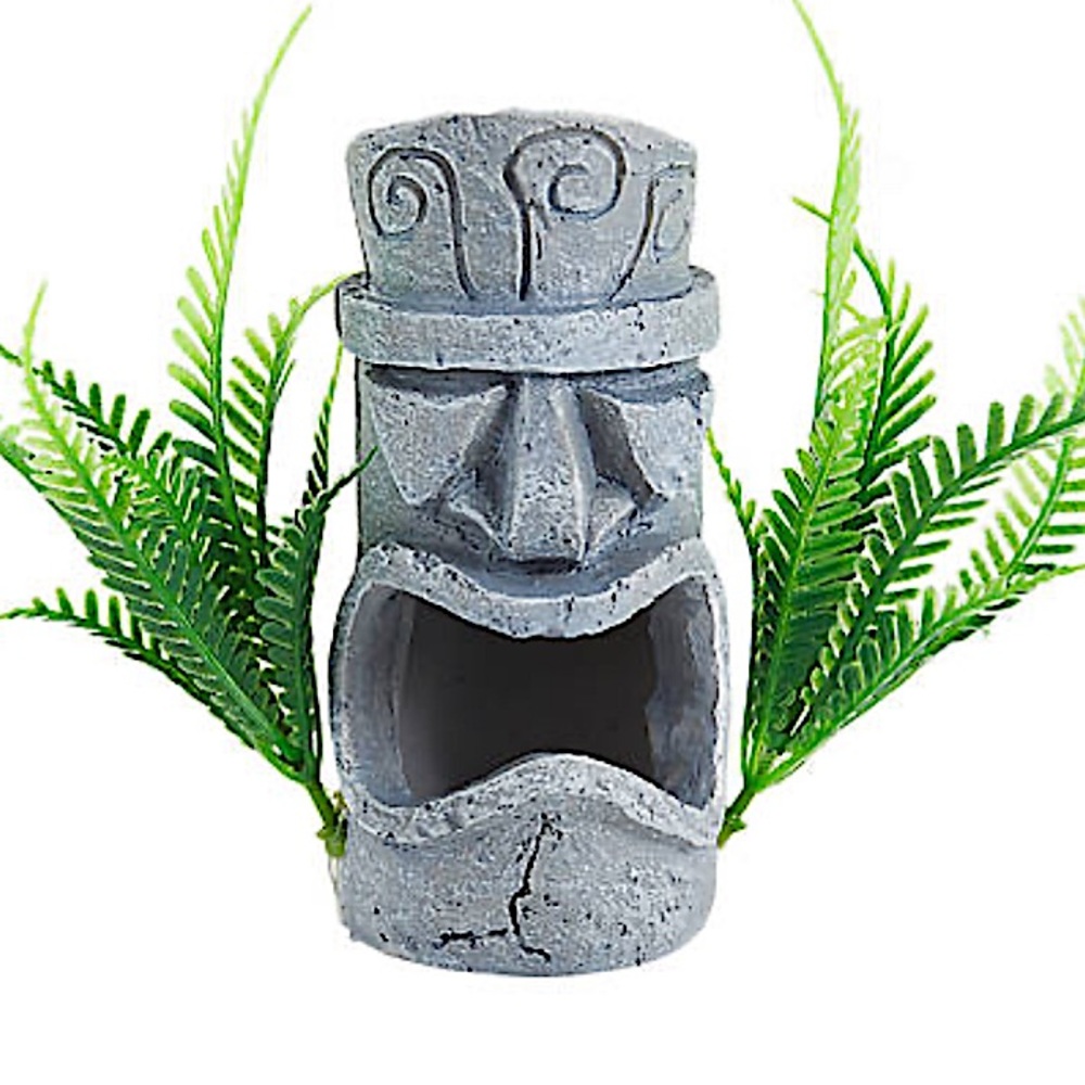 TOP FIN idol palm, Anemone & Artificial Glow
Landscape